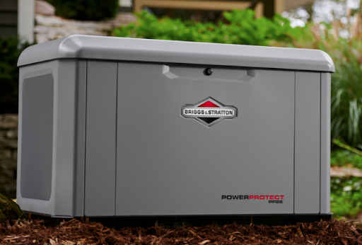 Winter 2021 Generator